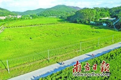 最牛网红县道是哪里,揭秘网红县道的魅力与传奇”